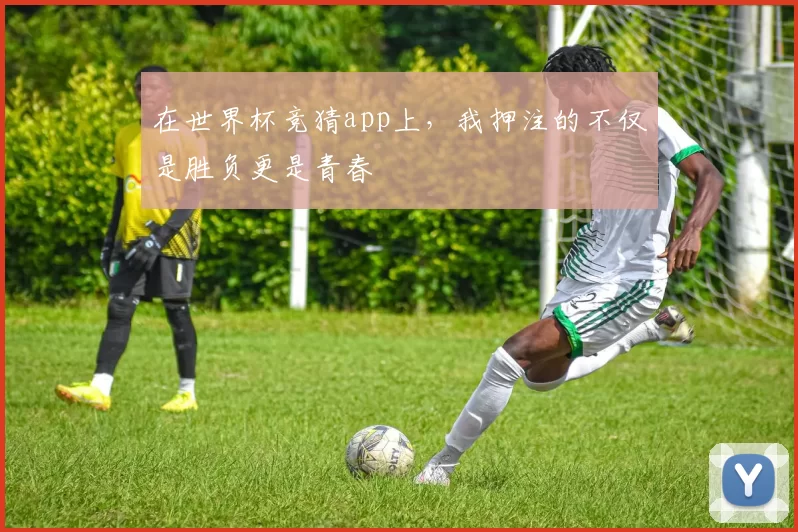 在世界杯竞猜app上，我押注的不仅是胜负更是青春