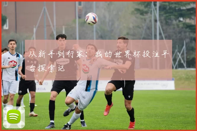 从新手到行家：我的世界杯投注平台探索记