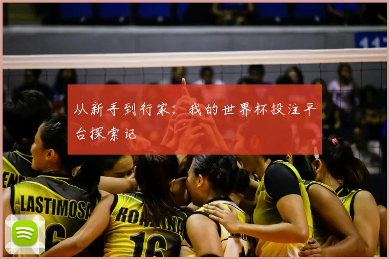 从新手到行家：我的世界杯投注平台探索记