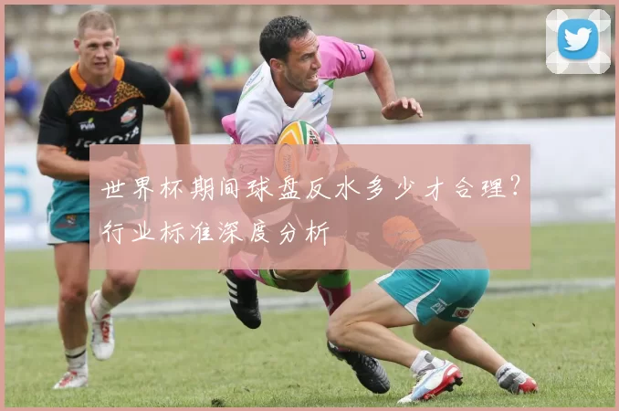 世界杯期间球盘反水多少才合理?行业标准深度分析