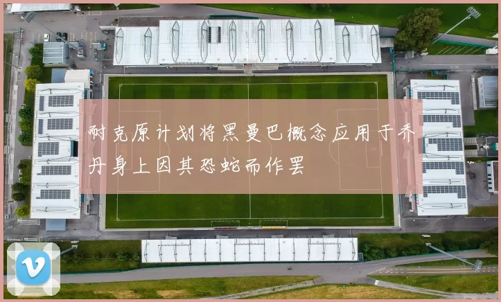 耐克原计划将黑曼巴概念应用于乔丹身上因其恐蛇而作罢