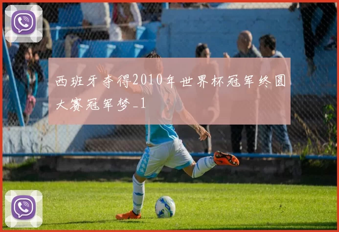 西班牙夺得2010年世界杯冠军终圆大赛冠军梦_1
