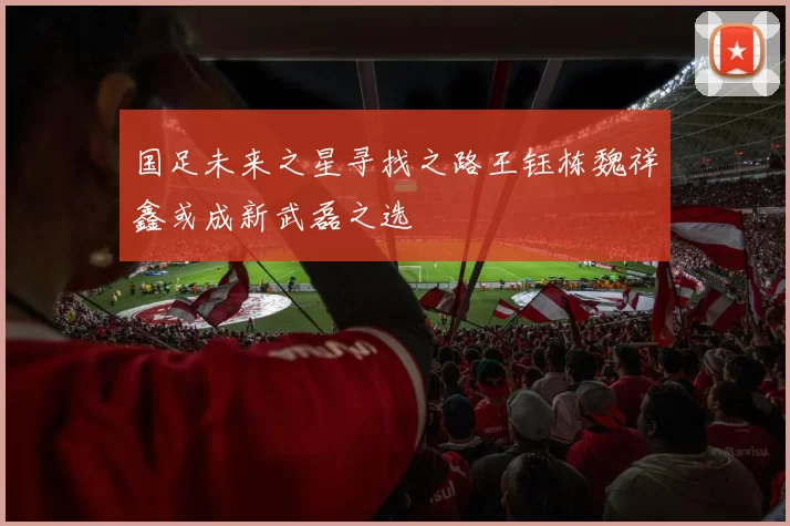 国足未来之星寻找之路王钰栋魏祥鑫或成新武磊之选