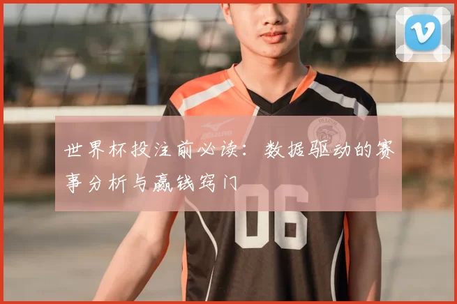 世界杯投注前必读:数据驱动的赛事分析与赢钱窍门