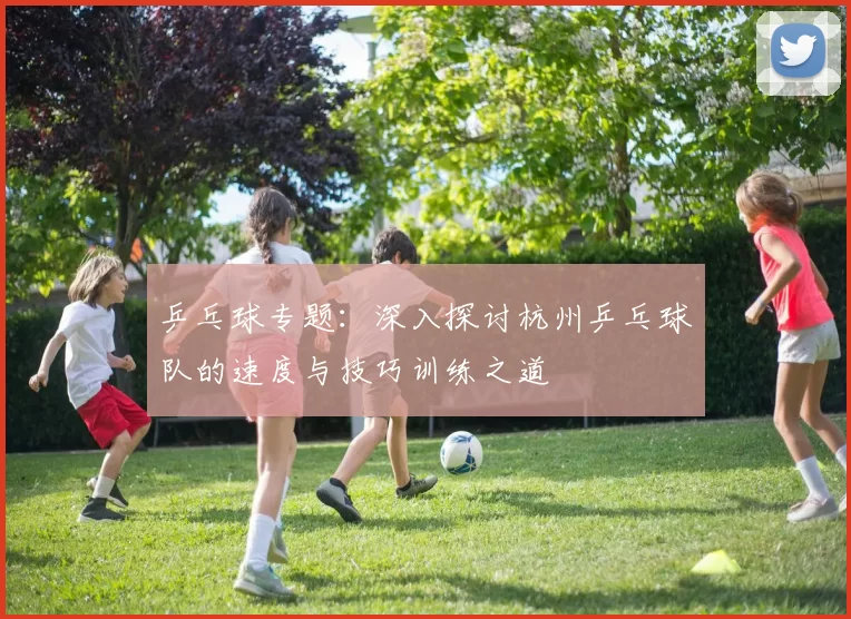 乒乓球专题：深入探讨杭州乒乓球队的速度与技巧训练之道
