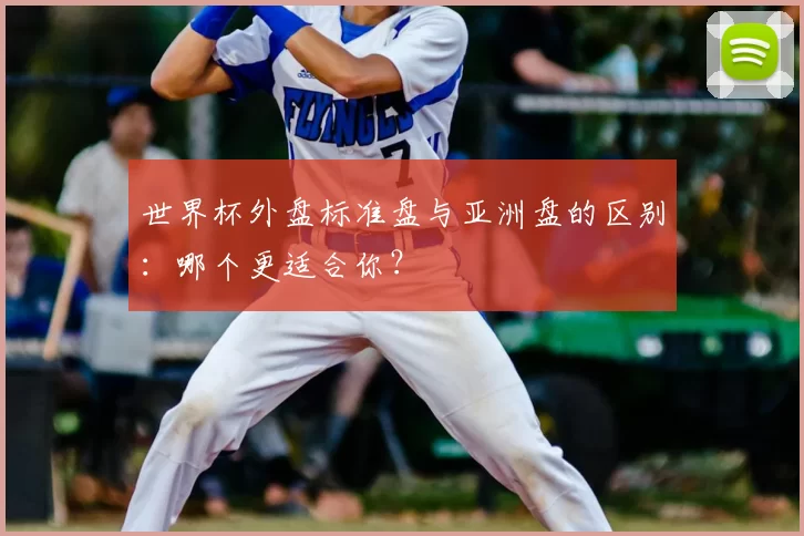世界杯外盘标准盘与亚洲盘的区别:哪个更适合你?