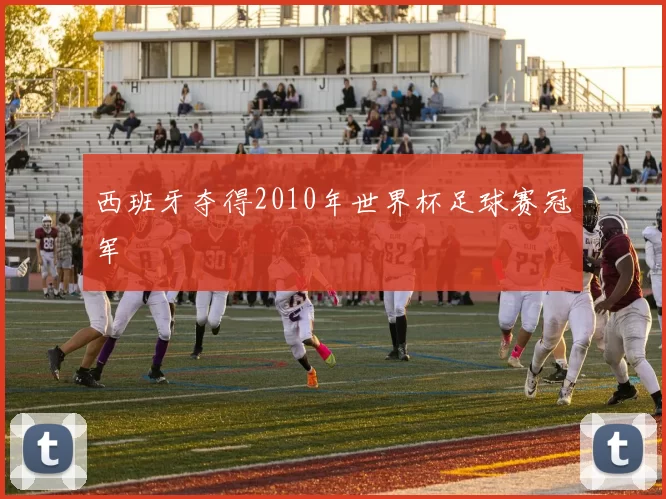 西班牙夺得2010年世界杯足球赛冠军