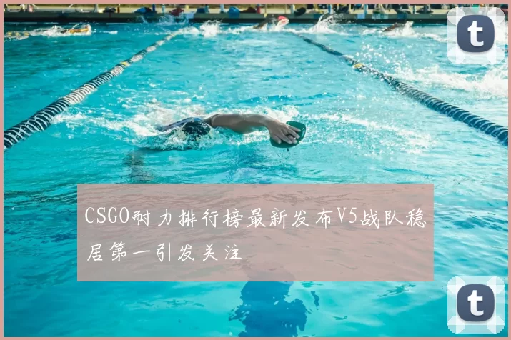 CSGO耐力排行榜最新发布V5战队稳居第一引发关注