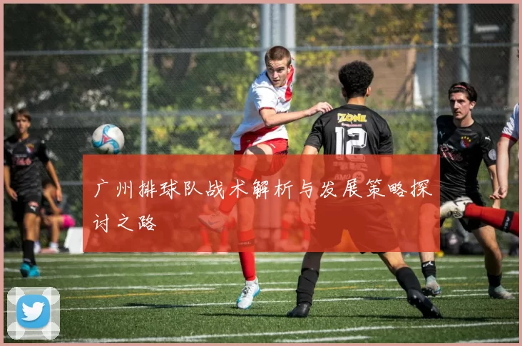 广州排球队战术解析与发展策略探讨之路