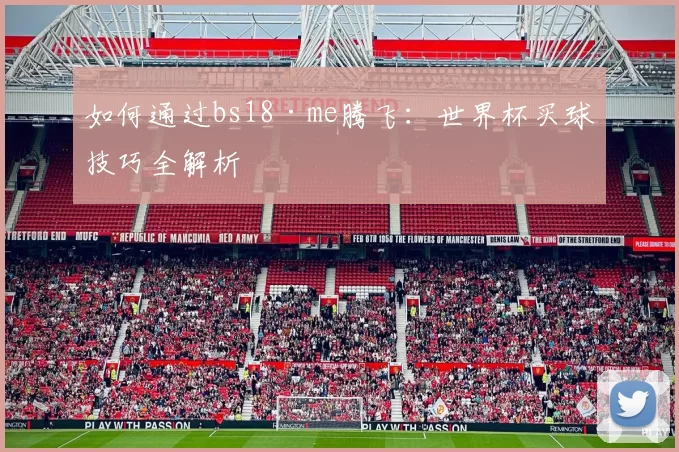 如何通过bs18·me腾飞:世界杯买球技巧全解析
