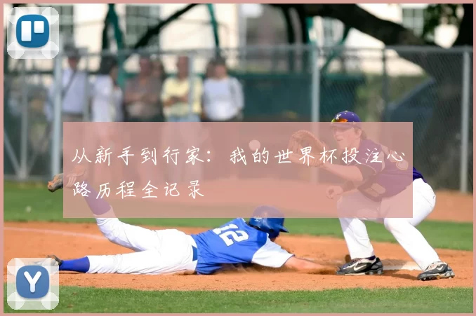 从新手到行家：我的世界杯投注心路历程全记录