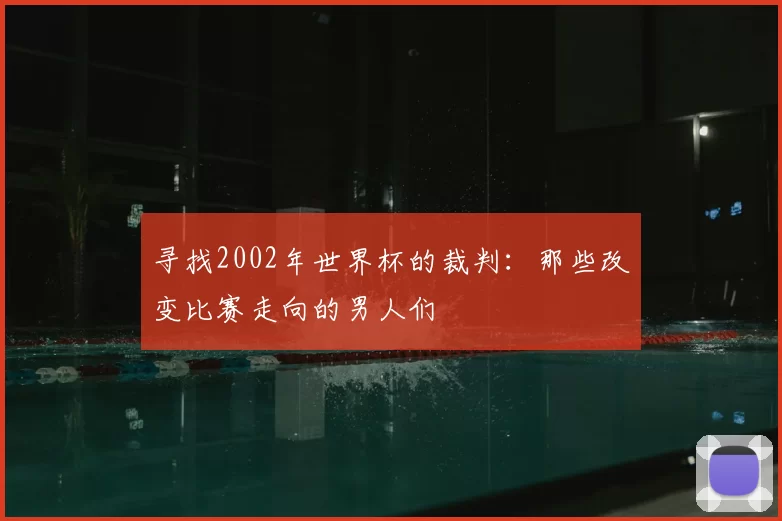 寻找2002年世界杯的裁判:那些改变比赛走向的男人们