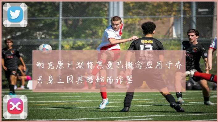 耐克原计划将黑曼巴概念应用于乔丹身上因其恐蛇而作罢