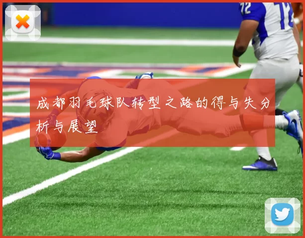 成都羽毛球队转型之路的得与失分析与展望