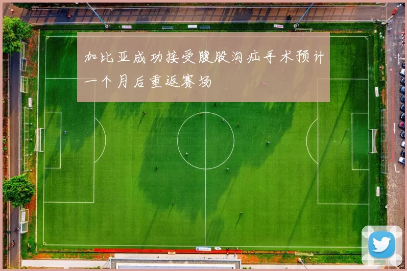加比亚成功接受腹股沟疝手术预计一个月后重返赛场