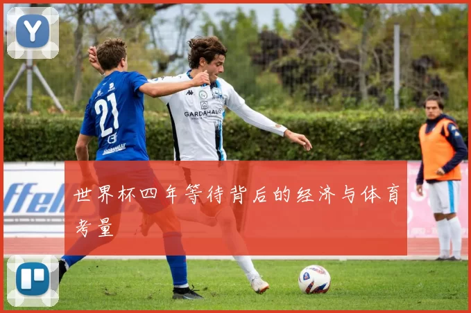 世界杯四年等待背后的经济与体育考量