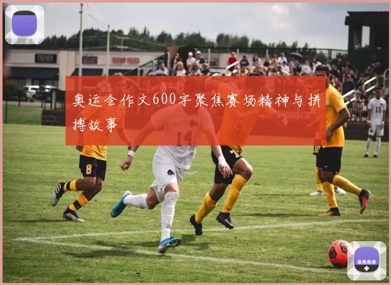 奥运会作文600字聚焦赛场精神与拼搏故事