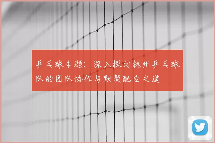 乒乓球专题：深入探讨杭州乒乓球队的团队协作与默契配合之道